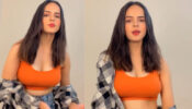 TMKOC diva Palak Sindhwani performs ‘Hello’ dance trend in gorgeous orange bralette, fans stunned