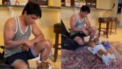 Too Cute: ‘Covid-19 Messiah’ Sonu Sood gets playful with pet dog, netizens melt in awe