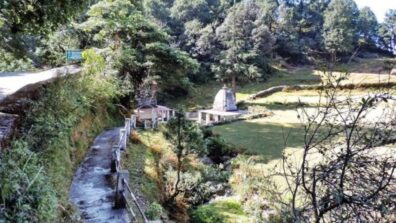 Travel: Visit Binsar Wildlife Sanctuary To Recharge