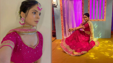 Tujhe Apna Banake: TMKOC diva Palak Sindhwani gets decked up in beautiful pink deep-neck lehenga, fans in love