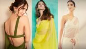 Vaani Kapoor will make you wonder in her saree looks