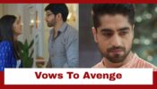 Yeh Rishta Kya Kehlata Hai: Abhimanyu vows to avenge Kairav