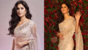 5 Occasions This Season That Katrina Kaif Dazzled In Sheer Sarees.