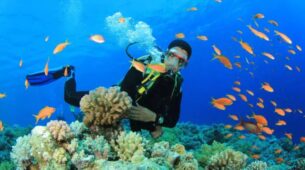 5 Places In India To Enjoy Scuba Diving