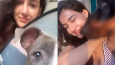 Disha Patani is chilling at home with pet dog wearing bralette and bikini, see viral video