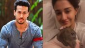 After breakup rumours with Tiger Shroff, Disha Patani spotted spending quality time with pet dog