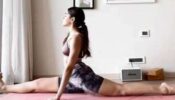 Alaya F takes over internet by storm with latest Yoga video, looks sizzling in bralette