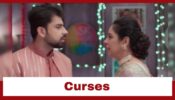 Anupamaa: Paritosh curses Anupamaa