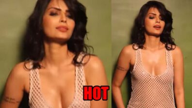 Sonali Raut is sensuality personified in deep-neck beige net outfit, fans love it