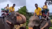 Bengali celebrity couple Nusrat Jahan and Yash Dasgupta set out for wildlife adventure, twin in yellow