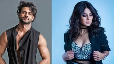 Bigg Boss 13 Fame Actor Vishal Aditya Singh Wants To Date Television Actress Jennifer Winget