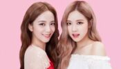 BLACKPINK’s Rose’s Pet – Hank’s Gift Was The Most Shocking Among Jisoo And Rosé Gifts From Their Luxury Brands: Check Out
