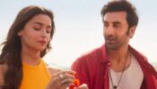 Brahmastra Update: Alia Bhatt and Ranbir Kapoor starrer got budget of whopping 400 crores, read 