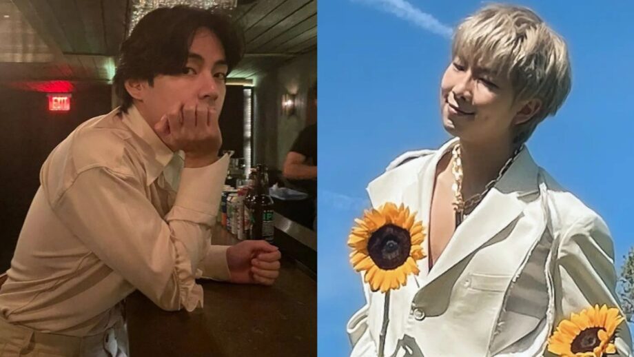 BTS Members V And RM Shares Unseen Pics On Social Media, Don't Miss 689188