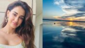 Disha Patani is busy shooting with superstar Surya, takes time out for nature photography