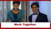Do You Know Shah Rukh Khan And Wife Gauri Khan Have Acted Together?