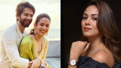 Educational Qualifications of Mira Rajput Kapoor