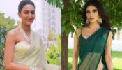 Ethnic Queens: Erica Fernandes And Mouni Roy Rock The Saree Look Splendidly