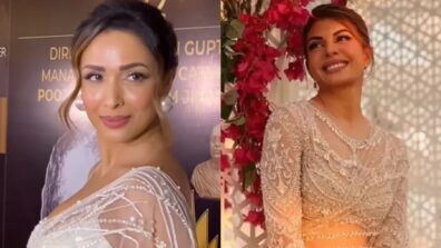 Fashion Battle: Jacqueline Fernandez Or Malaika Arora: Who Styled The Sequin Embellished White Saree Better?