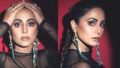 Fashion Icon Hina Khan Dazzles The Black See-Through Dress With Bold Earrings And Shimmer Eye Makeup