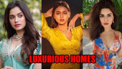 From Avneet Kaur to Tejasswi Prakash: Young TV celebs and their luxurious homes