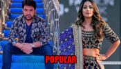 From Kapil Sharma to Hina Khan: TV stars from small town who made it big in the industry