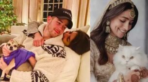 From Kartik Aaryan to Alia Bhatt: Celebs from B-Town with pets that have their own followings