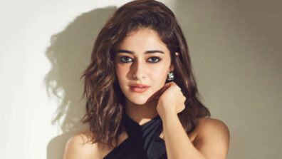 From Schezwan cheese dosa to paneer hungama: Check out all what Ananya Panday eats during her cheat meal