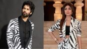 From Shahid Kapoor To Shilpa Shetty: Here Are All The Bollywood Stars Who Stood Out In Zebra Prints