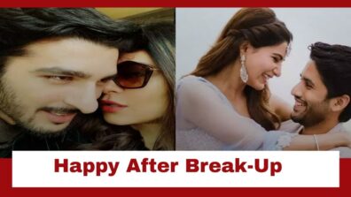 From Sushmita Sen-Rohman Shawl  To Samantha Ruth Prabhu-Naga Chaitanya: Celebrity Couples Who Are Happy After Break-up