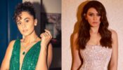 Hansika Motwani and Taapsee Pannu are ultimate slayers in shimmery slit outfits, check out red carpet swag
