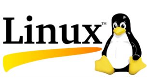 How To Play Epic Games On Linux