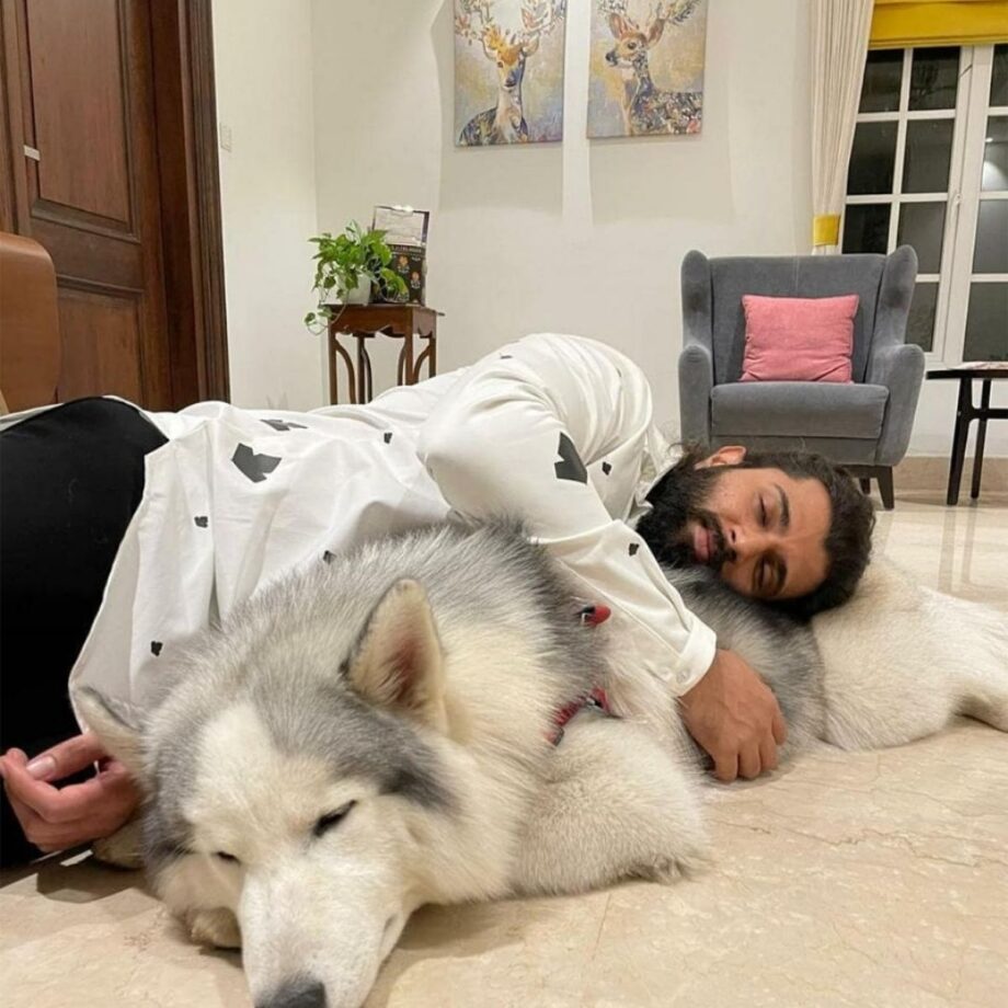 Hyderabad Bungalow Worth Rs 15 Crore Owned By Actor Vijay Deverakonda - 3