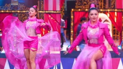 I wanna be iconic: Rubina Dilaik is all about ‘savage queen’ vibes in all-pink embellished fusion dress, we are drooling