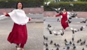 Kabootar Ja Ja Ja: Divyanka Tripathi turns ‘masakkali’ in real life, spotted playing with cute pigeons