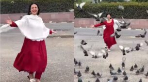 Kabootar Ja Ja Ja: Divyanka Tripathi turns ‘masakkali’ in real life, spotted playing with cute pigeons
