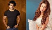 Kesariyo Rang: Siddharth Nigam gives special shoutout to ‘special friend’ Avneet Kaur, Aladdin fans can’t keep calm
