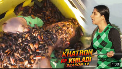 Khatron Ke Khiladi Written Update S-12 Ep-21 10th September 2022: Ticket to Finale Week