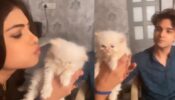 Kumkum Bhagya: Mugdha Chaphekar and Krishna Kaul get playful with cute and adorable cat on set, we are melting