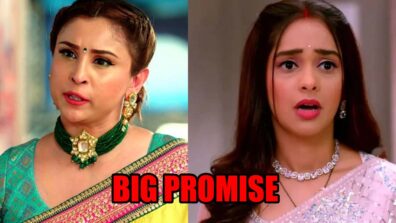 Kumkum Bhagya: Pallavi takes a big promise from Prachi