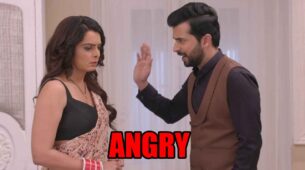 Kundali Bhagya: Rishabh blasts Sherlyn for disrespecting Preeta