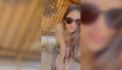 Love ain’t nothing but a monkey…: Mouni Roy’s bold statement on love and romance after marriage