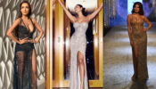 Malaika Arora, Tara Sutaria, Or Esha Gupta: Whose Sultry Bodycon Gown Is Heating The Environment?