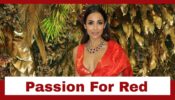 Malaika Arora’s Passion For The Colour Red Deciphered, Check Here