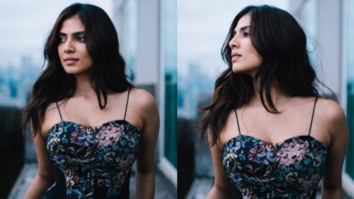 Malavika Mohanan dwells in her abstract sass file wearing intricate floral corset