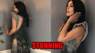 Mallika Sherawat looks stunning in black and grey gown, check photos