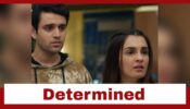 Pandya Store: Dhara determined to change Krish’s marriage decision