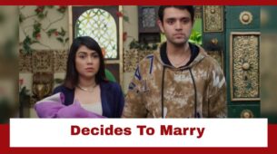 Pandya Store: Krish decides to marry Shweta