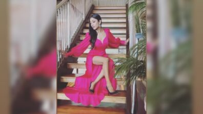 Paoli Dam looks divine and doll in pink deep-neck long gown, see pics