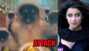 Pishachini: Monkeys attack Rani